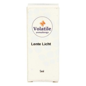Lente licht