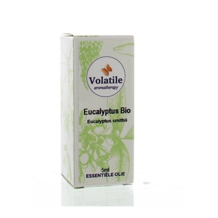 Eucalyptus smithii bio