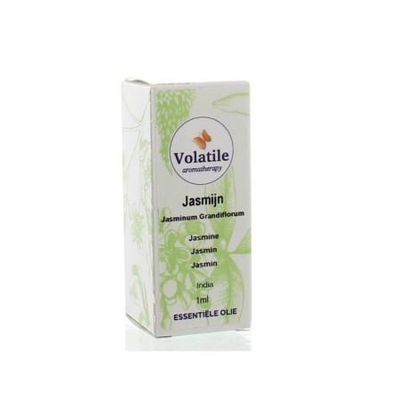 Jasmijn