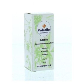 Kamfer