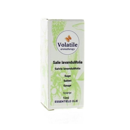 Salie lavandulifolia