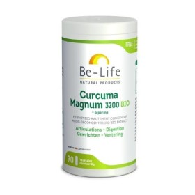Curcuma magnum 3200 + piperine bio