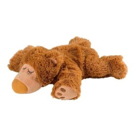 Sleepy beer bruin **