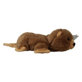 Bever