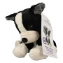Boston terrier