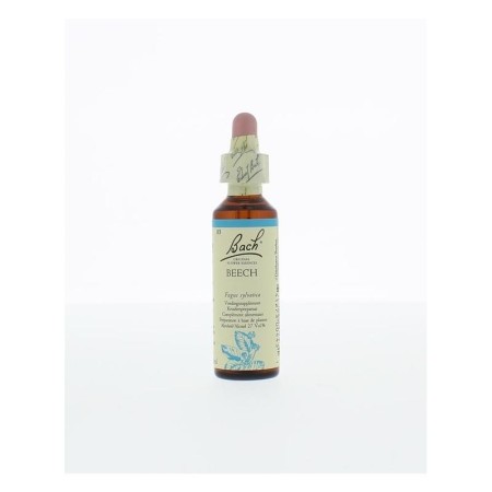 Bach beech / beuk no 3