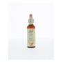Bach cherry plum /kerspruim no 6