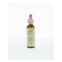 Bach mustard / herik no 21