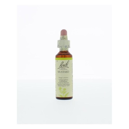 Bach mustard / herik no 21