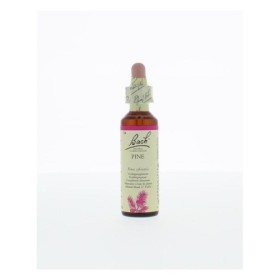 Bach pine / pijnboom no 24
