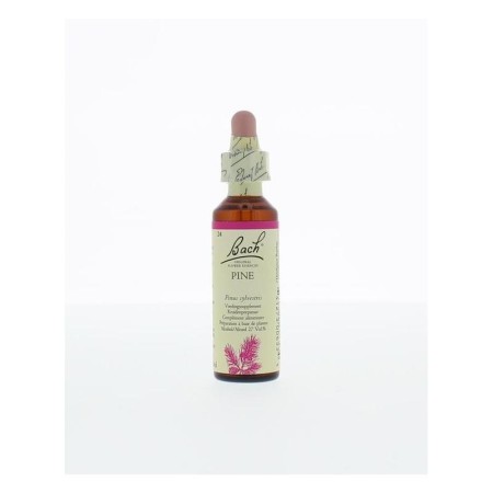 Bach pine / pijnboom no 24