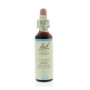 Bach vervain / ijzerhard no 31