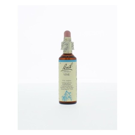 Bach vine / wijnrank no 32