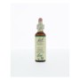 Bach walnut / walnoot no 33