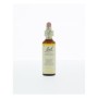 Bach wild oat /ruwe dravik no 36