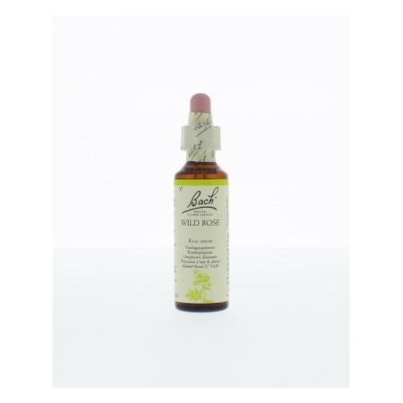Bach wild rose / hondsroos no 37