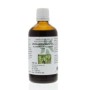 Alchemilla vulgaris hrb/vrouwenmantel