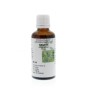 Avena sativa hrb/haver