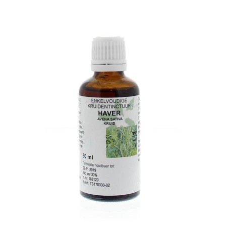 Avena sativa hrb/haver