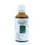 Carduus marianus fruct/mariadistel