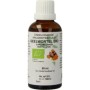 Curcuma longa rhiz/geelwortel bio
