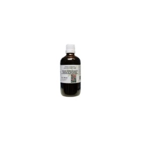 Echinacea purpurea hrb rad/rode zon tinc