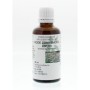 Echinacea purpurea hrb/rode zon kruid