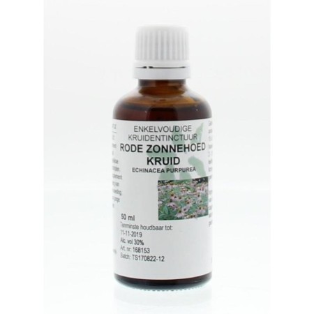 Echinacea purpurea hrb/rode zon kruid