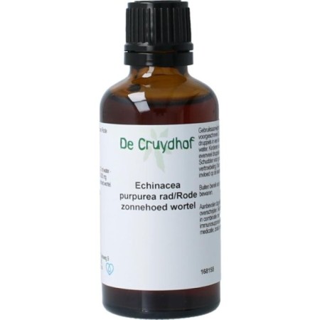 Echinacea purpurea rad/rode zon wortel