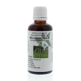 Epilobium angustifolium hrb/wilgenroosje
