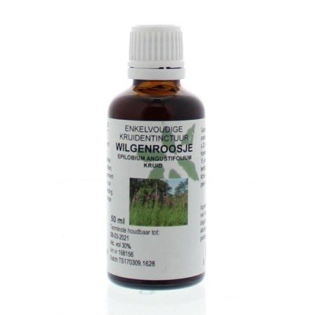 Epilobium angustifolium hrb/wilgenroosje