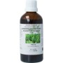 Equisetum arvense hrb/akkerpaardestaart