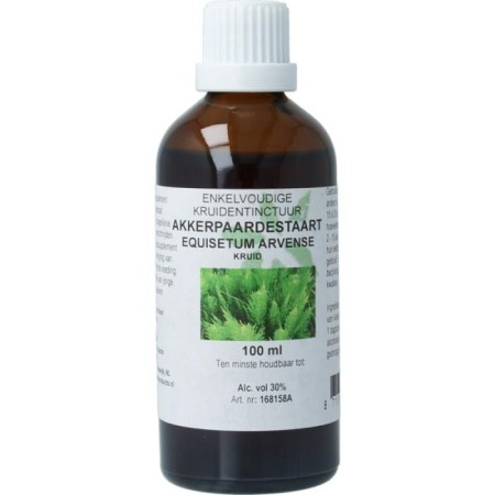 Equisetum arvense hrb/akkerpaardestaart