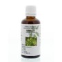 Ginkgo biloba fol/ginkgo