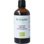 Lavendula officinalis flor/lavendel bio