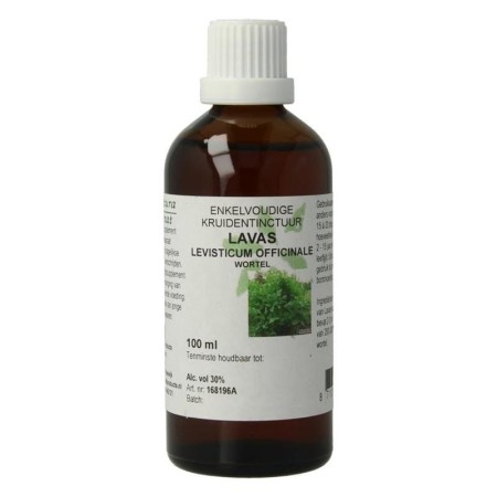 Levisticum officinale rad/lavas
