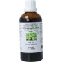 Melissa officinalis hrb/citroenmelisse