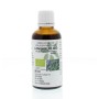 Pulmonaria officinalis hrb/longkruid bio