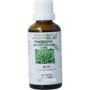 Rhodiola rosea rad/rhodiola wortel