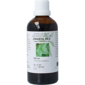 Ribes nigrum fol/zwarte bes