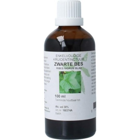 Ribes nigrum fol/zwarte bes