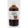 Schisandra chinensis fruct/schisandra