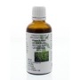 Scutellaria laterifolia hrb/am glidkruid