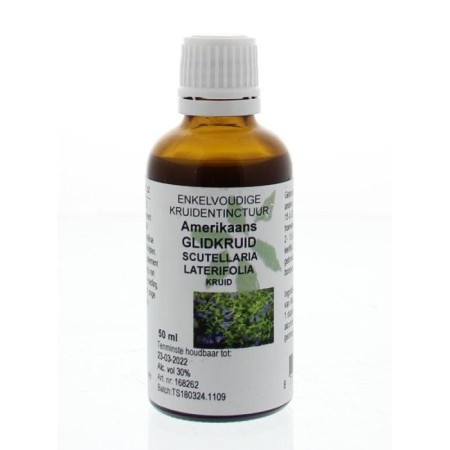 Scutellaria laterifolia hrb/am glidkruid