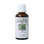 Taraxacum officin rad/paardebloemwortel