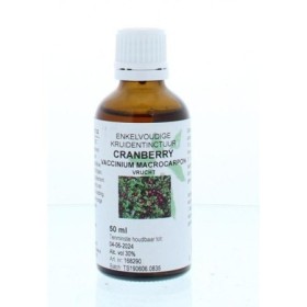 Vaccinium macrocarpon fruct/cranberry