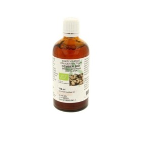 Zingiber officinale rhiz/gember bio
