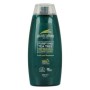 Australian tea tree conditioner