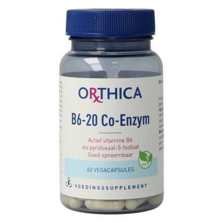 B6-20 co-enzym