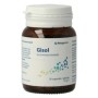 Gisol nf 30caps